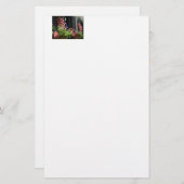 Papeterie Étoiles et bandes (Devant / Derrière)