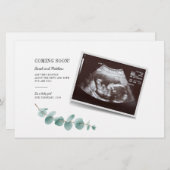 Papeterie Eucalyptus Grossesse bébé révélation (Devant / Derrière)