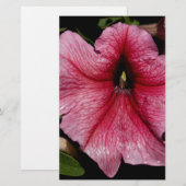 Papeterie Explosion Florale (Devant / Derrière)