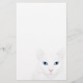 Papeterie Face blanche