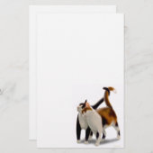 Papeterie féline de chat d'amis (Devant / Derrière)