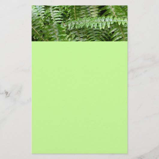 Papeterie Fermer Fronds I Green Nature (Devant)
