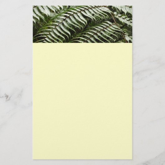 Papeterie Fern Fronds II Dark Green Nature (Devant)