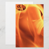 Papeterie Feu (Devant / Derrière)