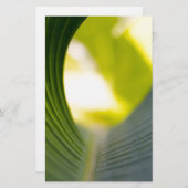 Papeterie Feuille banane (Devant / Derrière)