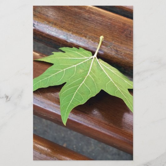 Papeterie feuille tombée (Devant)