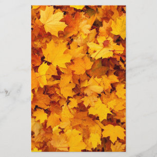 Papeterie Feuilles d'automne