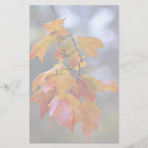 Papeterie Feuilles d'automne