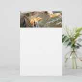 Papeterie Feuilles d'automne dans la cascade II Photographie (Debout devant)