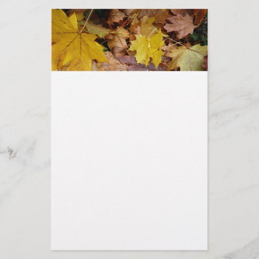 Papeterie Feuilles de Érable Tombées Jaune Automne Nature (Devant)