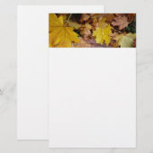 Papeterie Feuilles de Érable Tombées Jaune Automne Nature (Devant / Derrière)
