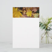 Papeterie Feuilles de Érable Tombées Jaune Automne Nature (Debout devant)