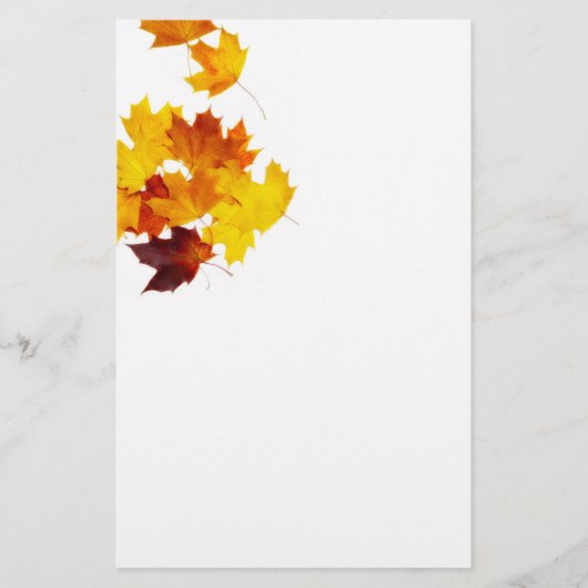 Papeterie Feuilles d'érable (Devant)