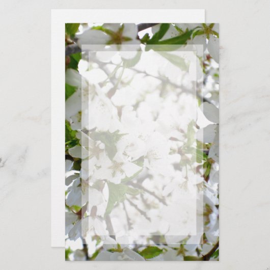 Papeterie Fleur blanche (Devant / Derrière)