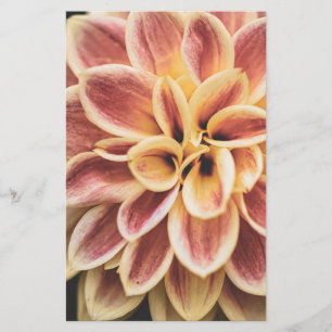 Papeterie Fleur Dahlia d'été (Art Floral)