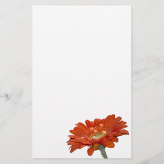 Papeterie Fleur de Gerbera de marguerite orange