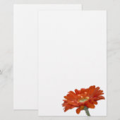 Papeterie Fleur de Gerbera de marguerite orange (Devant / Derrière)