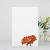 Papeterie Fleur de Gerbera de marguerite orange (Debout devant)