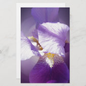 Papeterie fleur d'iris pourpre (Devant / Derrière)