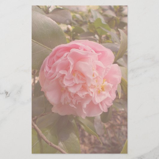 Papeterie Fleur rose (Devant)