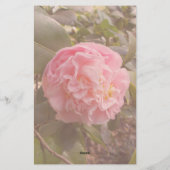 Papeterie Fleur rose (Dos)