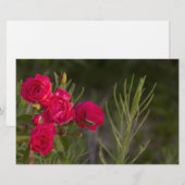 Papeterie Fleur rose (Devant / Derrière)