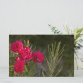 Papeterie Fleur rose (Debout devant)