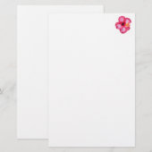 Papeterie fleur rose blanche rouge de ketmie aloha (Devant / Derrière)
