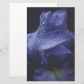 Papeterie Fleur Rose violet (Devant / Derrière)