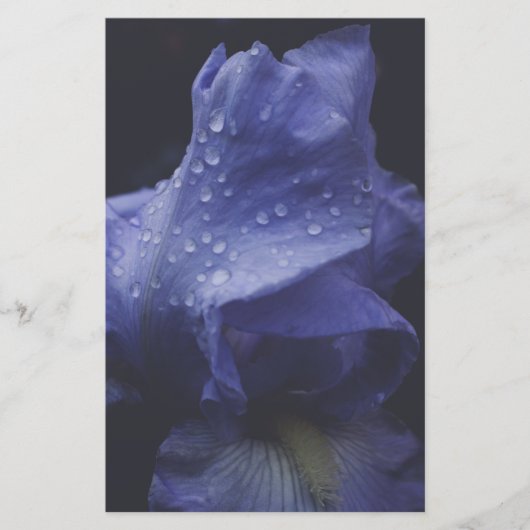 Papeterie Fleur Rose violet (Devant)