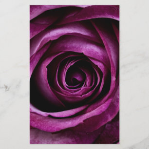 Papeterie Fleur Rose violet