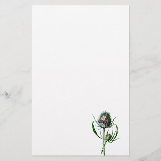 Papeterie Fleur sauvage d'antiquité de chardon d'écossais du (Devant)
