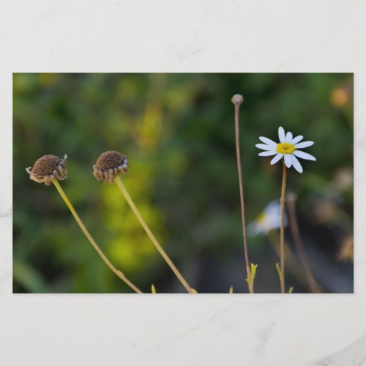 Papeterie Fleurs (Devant)