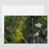 Papeterie Fleurs (Devant / Derrière)