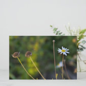 Papeterie Fleurs (Debout devant)