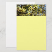 Papeterie Fleurs à puces de sorcière (Devant / Derrière)