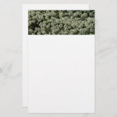 Papeterie Fleurs d'Alyssum doux Floral blanc (Devant / Derrière)