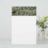 Papeterie Fleurs d'Alyssum doux Floral blanc (Debout devant)