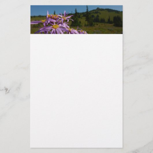 Papeterie Fleurs d'aster violettes au mont Rainier (Devant)