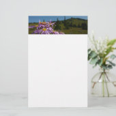 Papeterie Fleurs d'aster violettes au mont Rainier (Debout devant)
