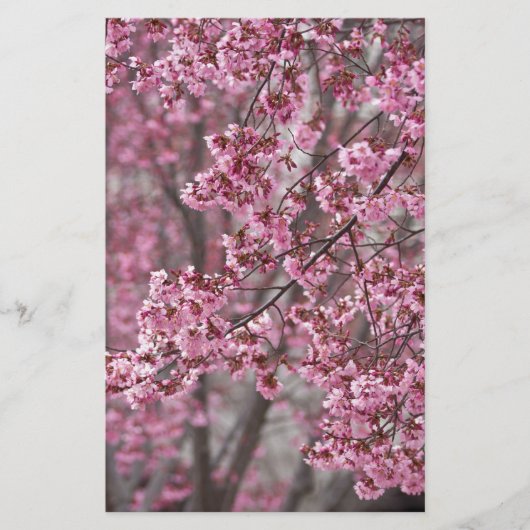 Papeterie Fleurs de cerisier Sakura rose flottant (Devant)