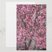 Papeterie Fleurs de cerisier Sakura rose flottant (Devant / Derrière)