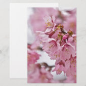Papeterie Fleurs de cerisier Sakura rose pâle (Devant / Derrière)