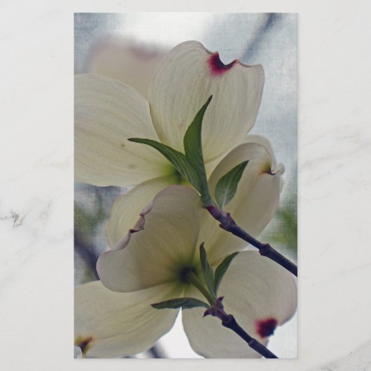Papeterie Fleurs de Dogwood (Devant)
