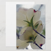 Papeterie Fleurs de Dogwood (Devant / Derrière)