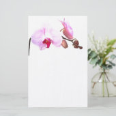 Papeterie Fleurs d'orchidées aziza (Debout devant)