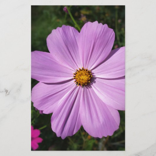Papeterie fleurs rose vif (Devant)