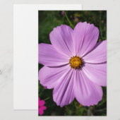 Papeterie fleurs rose vif (Devant / Derrière)