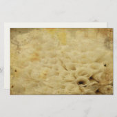 Papeterie Floral stationnaire (Devant / Derrière)