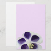 Papeterie florale, fleur pourpre et blanche (Devant / Derrière)